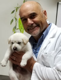 Dr. Dion Regelson