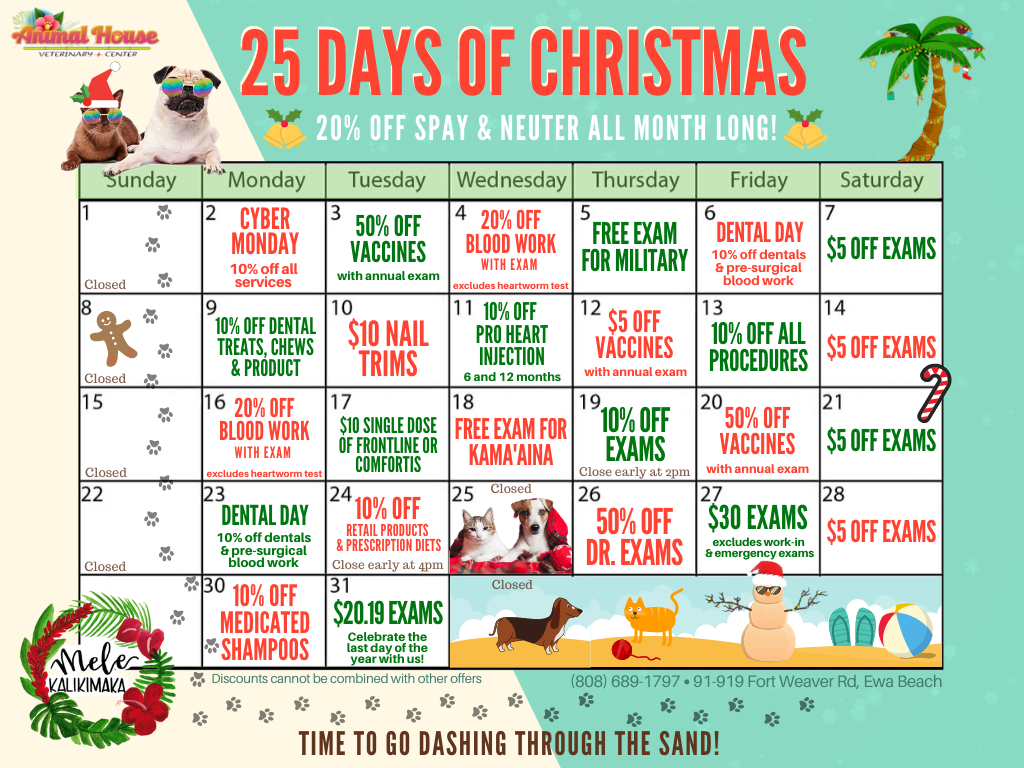 Veterinary Specials and Promos Ewa Beach Animal House Veterinary Center