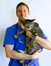 Dr. Timothy Wood