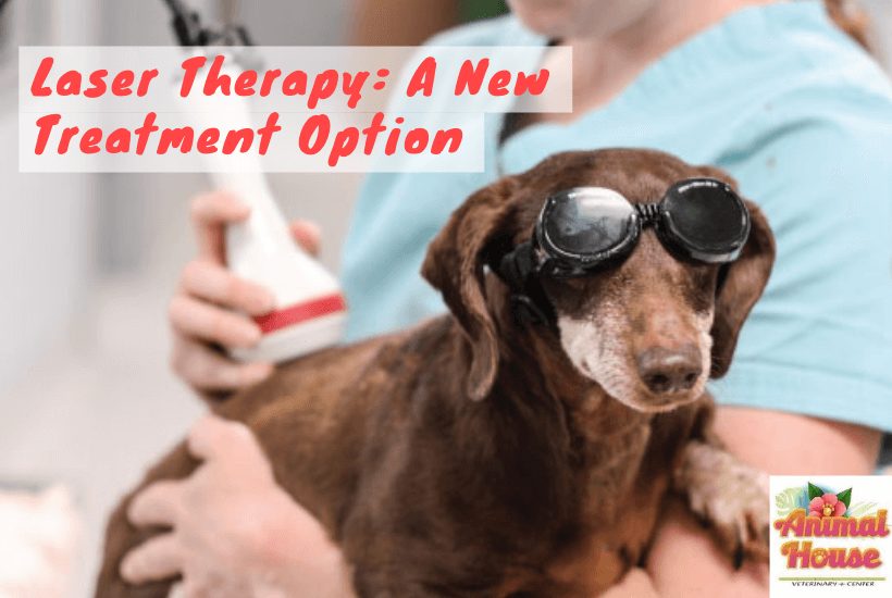 Laser Therapy: A New Treatment Option